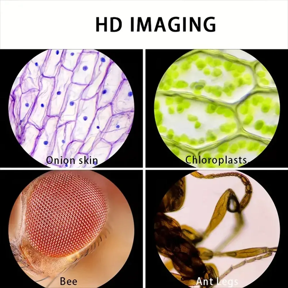 Карманный микроскоп для детей  – обзор и цена Outdoor Adventure Microscope